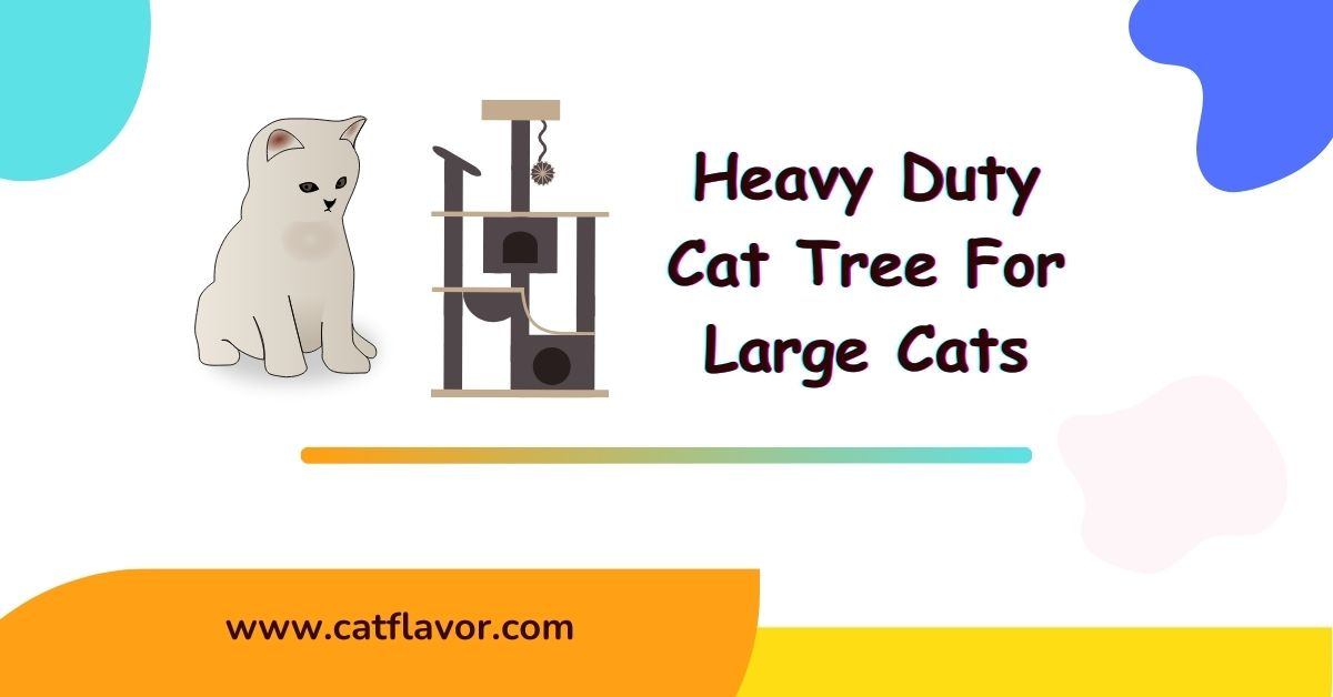 Heavy Duty Cat Tree For Large Cats