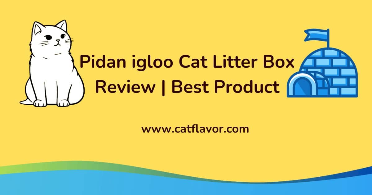 Pidan igloo Cat Litter Box